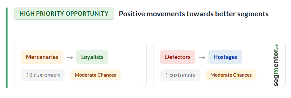 Opportunity analysis dashboard showing actionable insights and recommendations for each customer segment